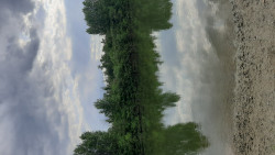 Anunt BARBATI în București - Platesc doua fete sa ma puna sa le ling talpile [1]. 