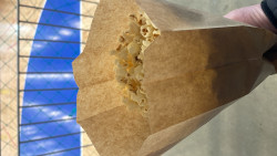 Anunt LESBIENE în Brașov - Cuplu bi [1]. 