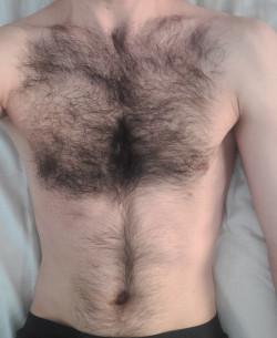 Anunt GAY în Timișoara - Pasiv paros [1]. 