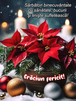 Anunt CUPLURI LIBERALE în București - Baiat  pentru cupluri [1]. 