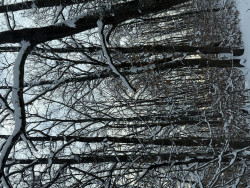 Anunt GAY în Cluj-Napoca - Caut un Activ -Excort [1]. 