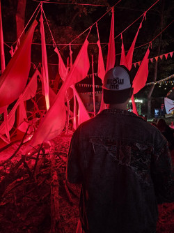 Anunt BARBATI în Timișoara - Îmi place sa admir, sa ma uit la un act sexual live [1]. 