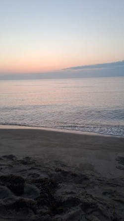 Anunt BARBATI în Craiova - Igiena impecabila si discretie maxima [1]. 