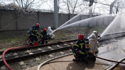 Anunt FEMEI în Constanța - Femei marure  [1]. 