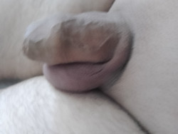 Anunt GAY în București - Bărbat 56 de ani, 178/95kg, îngrijit, discret și echilibrat [1]. 